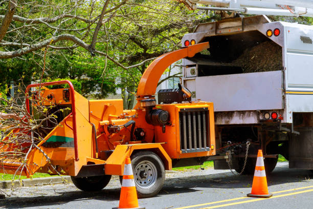 Best Residential Tree Removal  in Port Oconnor, TX